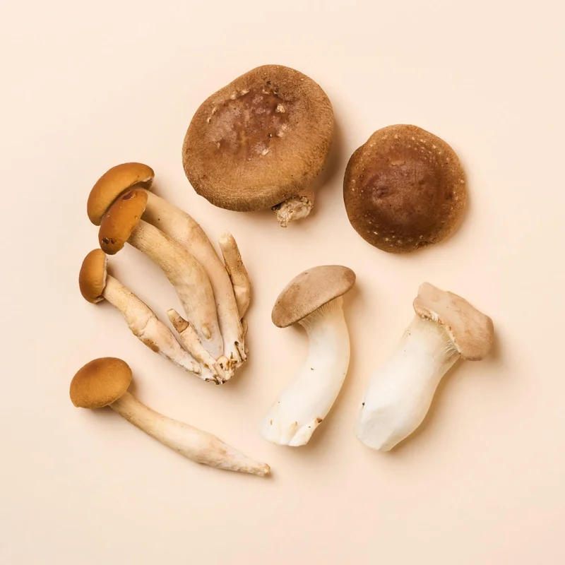 Organic Mystery Mushroom Sampler, 4 Oz