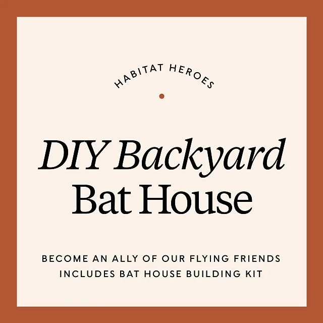 Habitat Heroes: DIY Backyard Bat House