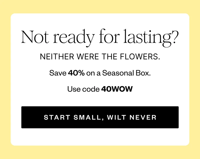 Not ready for lasting? | NEITHER WERE THE FLOWERS | Save 40% on a Seasonal Box. | Use code 40WOW | START SMALL, WILT NEVER