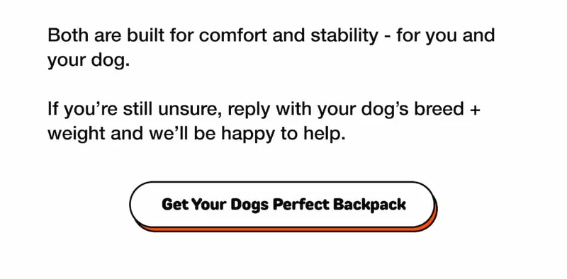 Get Your Dogs Perfect Backpack