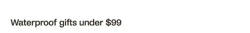 Waterproof gifts under $99