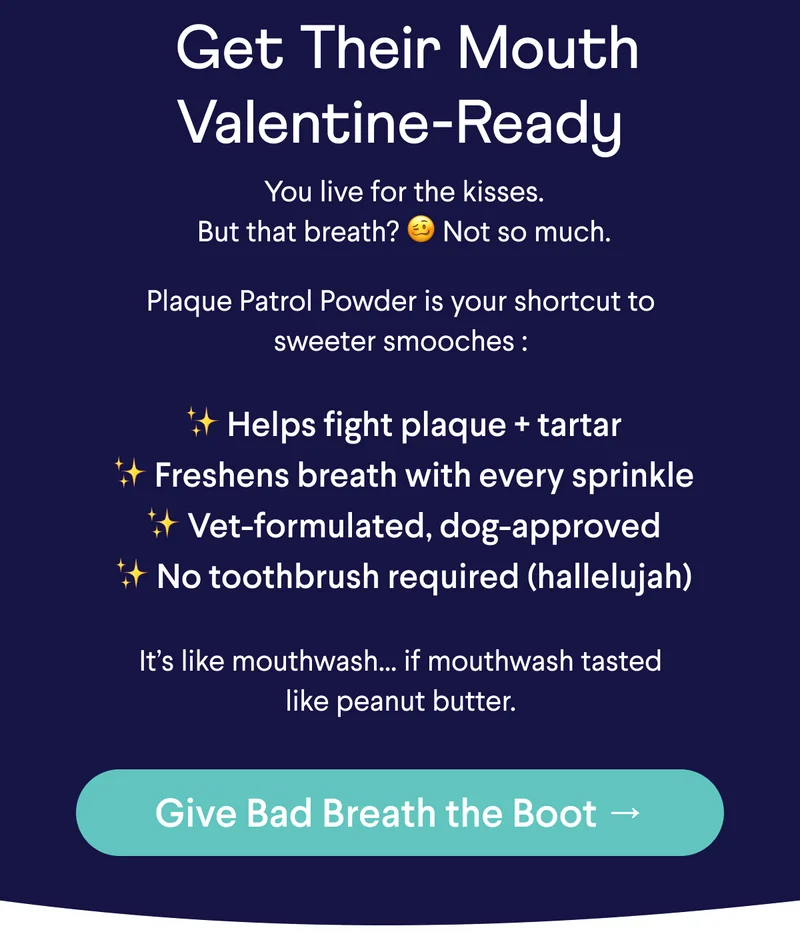 Text: &nbsp;Get Their Mouth Valentine-Ready &nbsp;You live for the kisses.  But that breath? 🥴 Not so much. Plaque Patrol Powder is your shortcut to sweeter smooches :        It’s like mouthwash… if mouthwash tasted like peanut butter.  CTA: Give Bad Breath the Boot →
