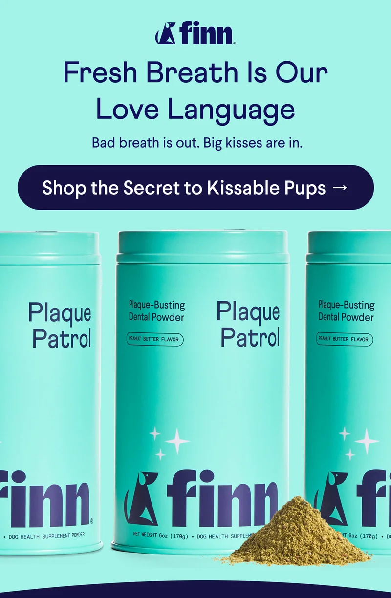Finn logo. Text:&nbsp;Fresh Breath Is Our Love Language &nbsp;Bad breath is out. Big kisses are in. CTA: Shop the Secret to Kissable Pups →