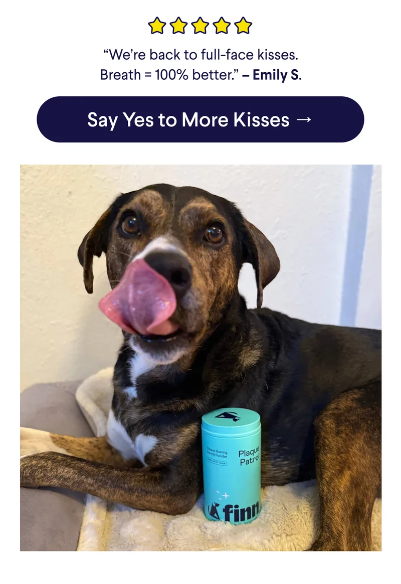 5 Star Customer Review: “We’re back to full-face kisses. Breath = 100% better.” – Emily S. CTA: Say Yes to More Kisses →