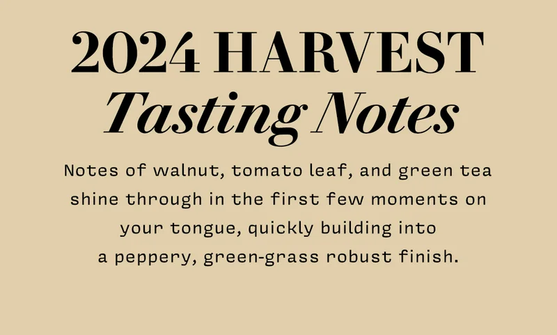 2024 Harvest Tasting Notes Notes of walnut, tomato leaf, and green tea shine through in the first few seconds - quickly building into a peppery, green-grass robust finish.