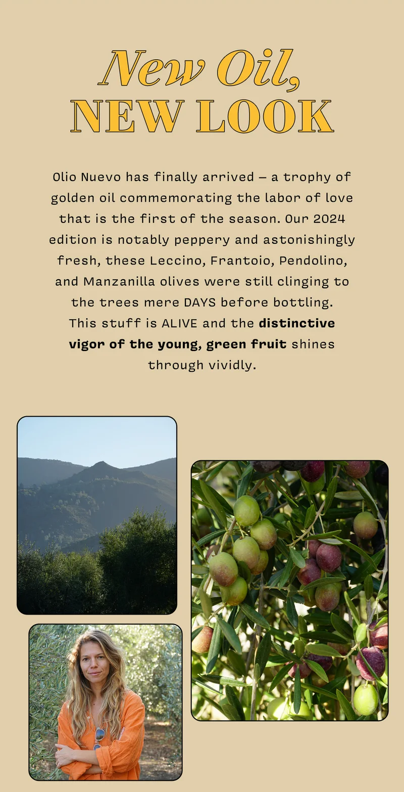 New oil, new look  Olio Nuevo has finally arrived – a trophy of golden oil commemorating the labor of love that is the first of the season. Our 2024 edition is notably peppery and astonishingly fresh, these Leccino, Frantoio, Pendolino, and Manzanilla olives were still clinging to the trees mere DAYS before bottling. This stuff is ALIVE and the distinctive vigor of the young, green fruit shines through vividly.