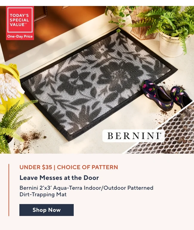 Bernini TSV