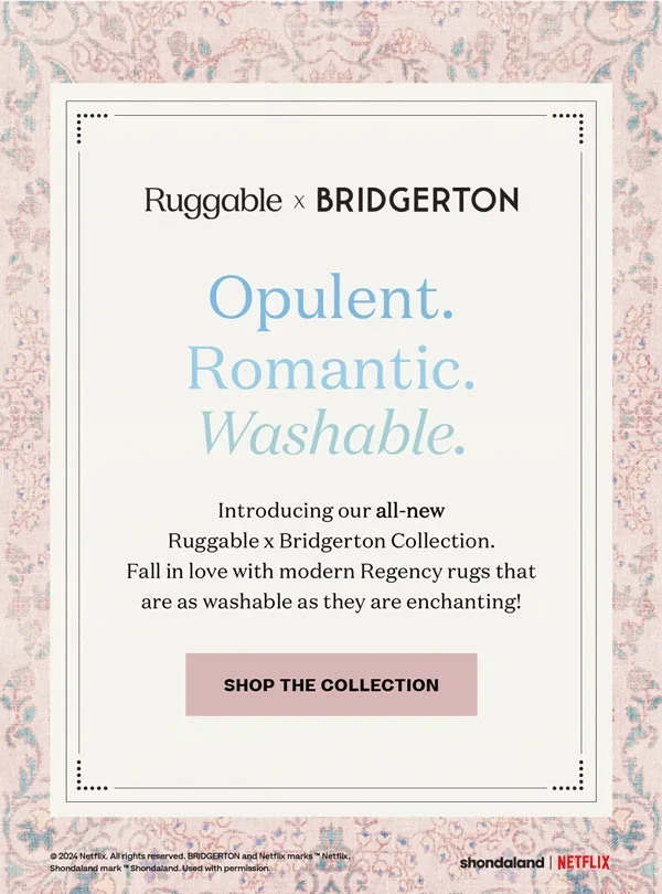 Shop the Collection