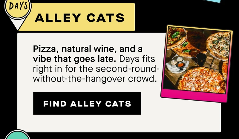 Alley Cats