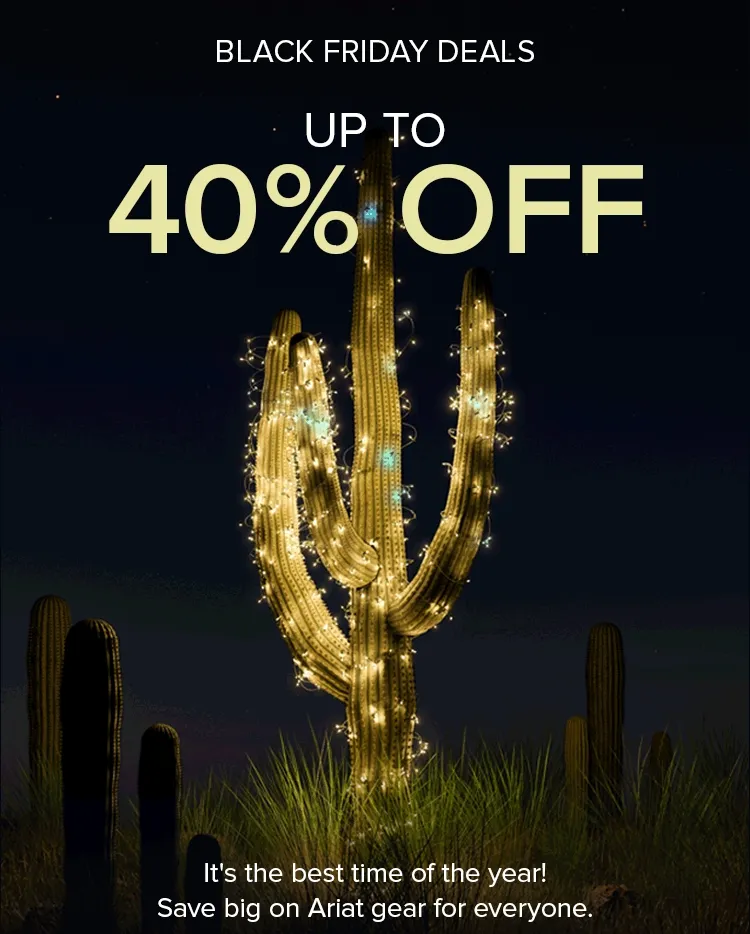 BLACK FRIDAY DEALS UP TO 40% OFF