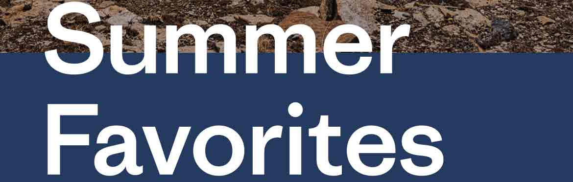 Summer Favorites
