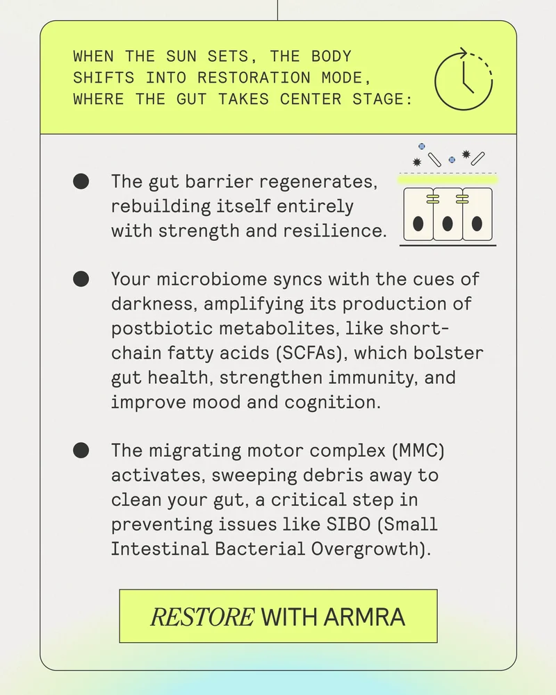 When the sun sets, the body shifts into restoration mode, where the gut takes the center stage: The gut barrier regenerates, rebuilding itself entirely with strength and resilience. Your microbiome syncs with the cues of darkness, amplifying its production of postbiotic metabolites, like short-chain fatty acids (SCFAs), which bolster gut health, strengthen immunity, and improve mood and cognition. The migrating motor complex (MC) activates, sweeping debris away to clean your gut, a critical step in preventing issues like SIBO (Small Intestinal Bacterial Overgrowth). RESTORE WITH ARMRA