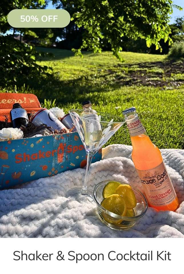 Shaker & Spoon Cocktail Kit