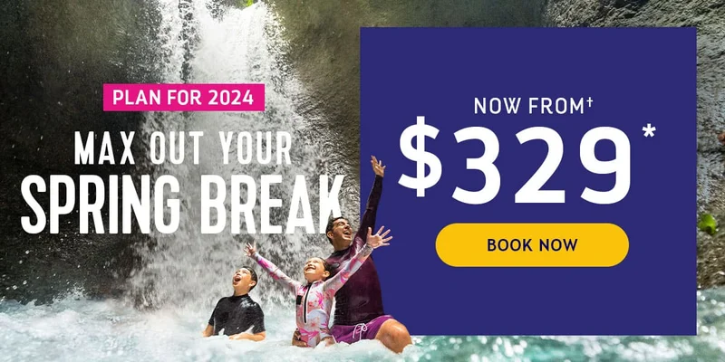 MAX OUT YOUR SPRING BREAK