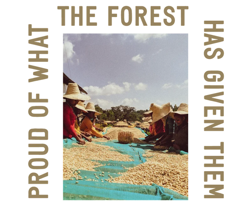 PROUD OF WHAT THE FOREST HAS GIVEN THEM