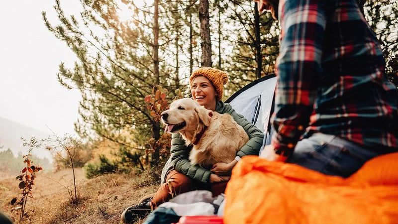 Image description: Family hugging dog outside tent at campsite in National Park