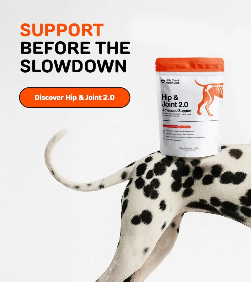 SUPPORT BEFORE THE SLOWDOWN