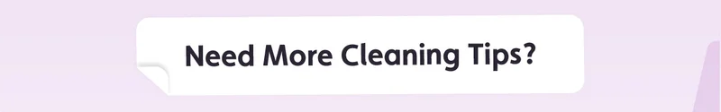 Need More Cleaning Tips?