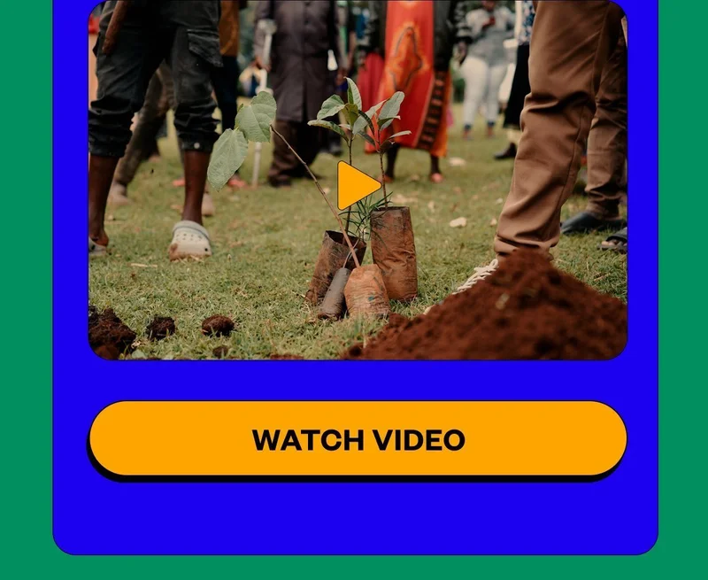 Watch Video Watch Video