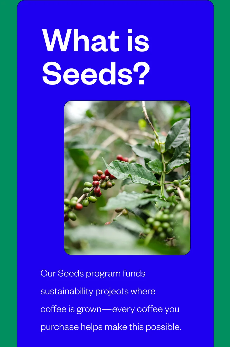 What is Seeds?Our Seeds program funds sustainability projects where coffee is grown—every coffee you purchase helps make this possible. CTA: WATCH VIDEO What is Seeds?Our Seeds program funds sustainability projects where coffee is grown—every coffee you purchase helps make this possible. CTA: WATCH VIDEO