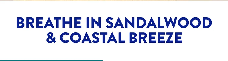 BREATHE IN SANDALWOOD & COASTAL BREEZE