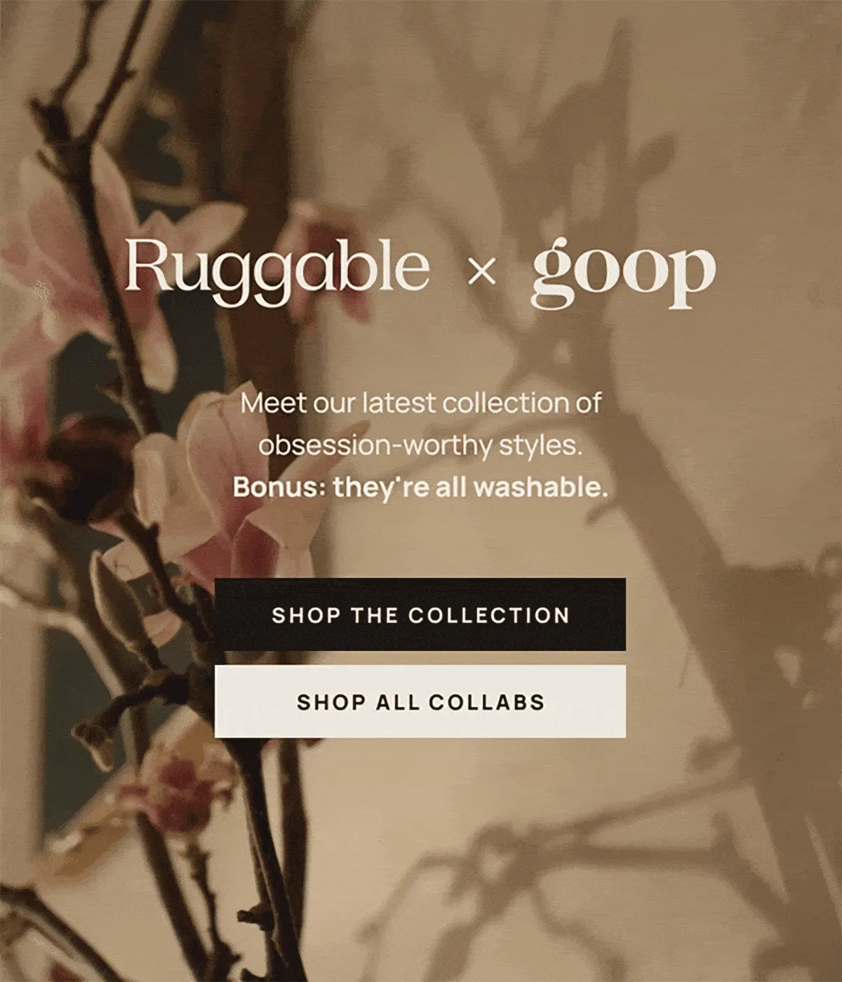 Meet our latest collection of obsession-worthy styles.