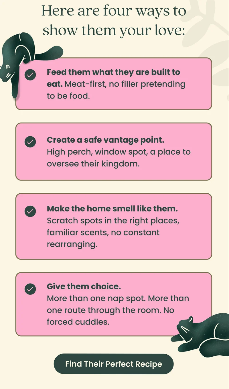 Here are four ways to show them your love