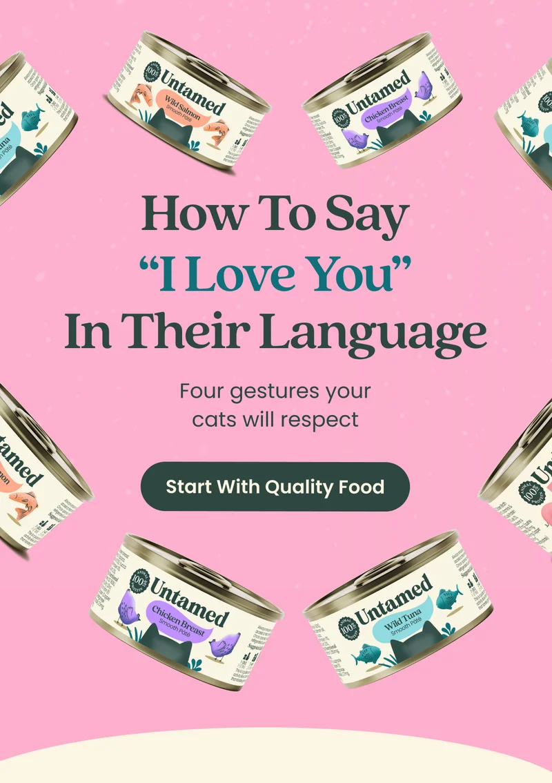 How to Say "I Love You" in Their Language