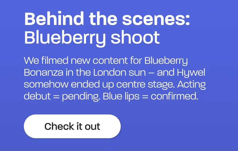 Behind the scenes: Blueberry shoot. We filmed new content for Blueberry Bonanza in the London sun – and Hywel somehow ended up centre stage. Acting debut = pending. Blue lips = confirmed.