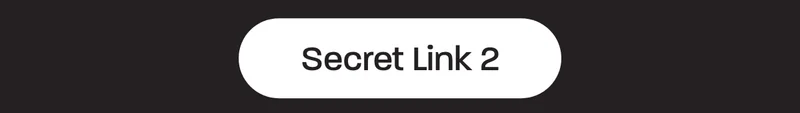 Secret Link 2