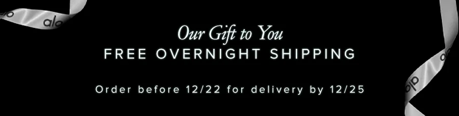 OUR GIFT TO YOU FREE OVERNIGHT SHIPPING ORDER BEFORE 12/22 FOR DELIVERY BY 12/25