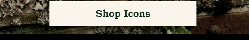 Shop Icons