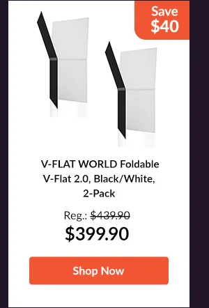 V-FLAT WORLD Foldable V-Flat 2.0, Black/White, 2-Pack