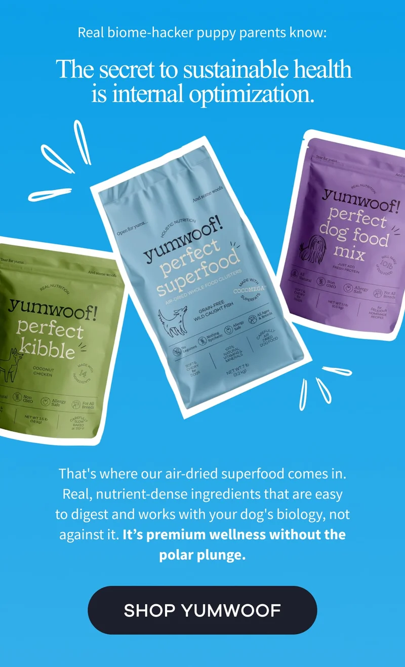 Real biome-hacker puppy parents know: The secret to sustainable health is internal optimization. | That's where our air-dried superfood comes in. Real, nutrient-dense ingredients that are easy to digest and works with your dog's biology, not against it. It’s premium wellness without the polar plunge. | SHOP YUMWOOF