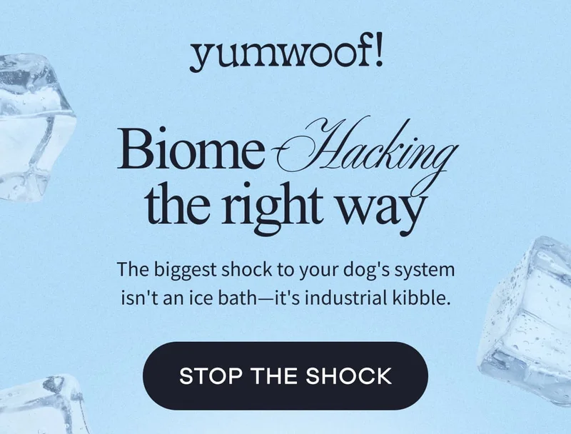 yumwoof! | Biome-Hacking the right way | The biggest shock to your dog's system isn't an ice bath—it's industrial kibble. | STOP THE SHOCK