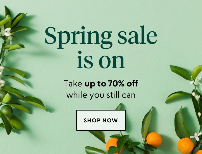 shop now