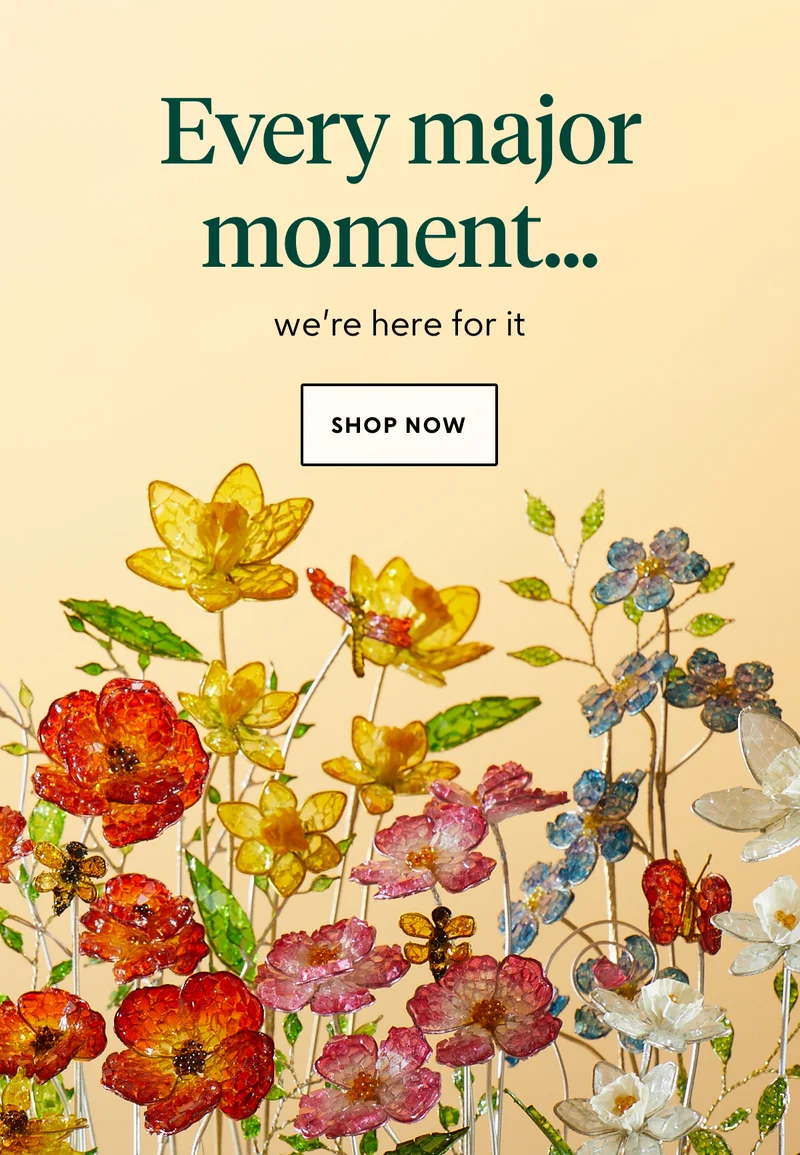 shop now
