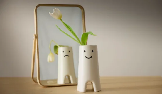 A white FRÖVÄXT vase containing a single flower. Behind the vase, a small mirror.
