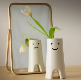 A white FRÖVÄXT vase containing a single flower. Behind the vase, a small mirror.