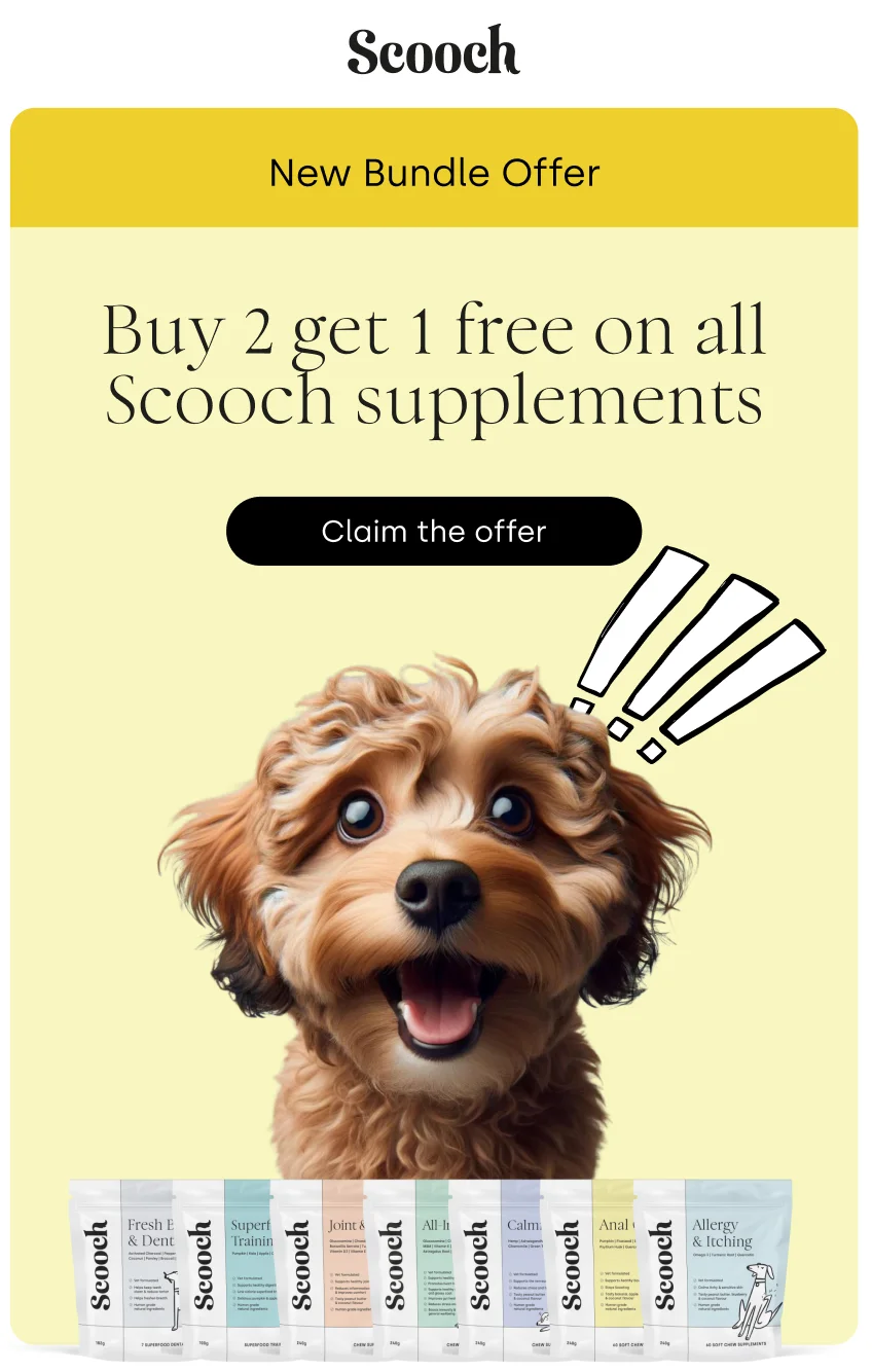 Buy 2 get 1 free