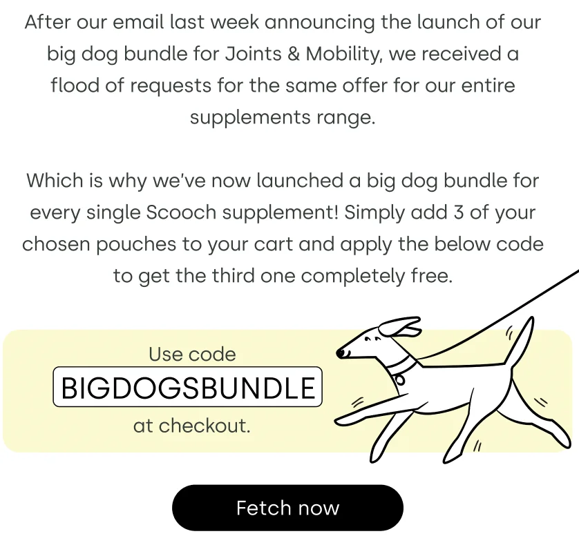 bigdogsbundle