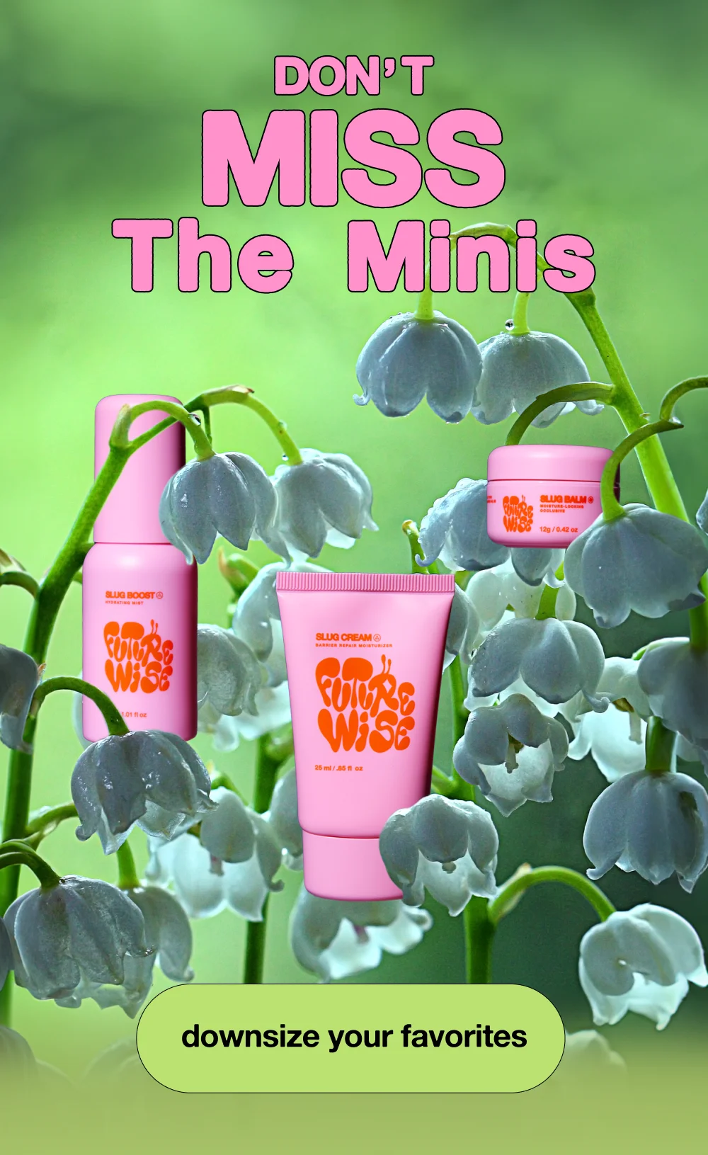 Don't Miss The Minis