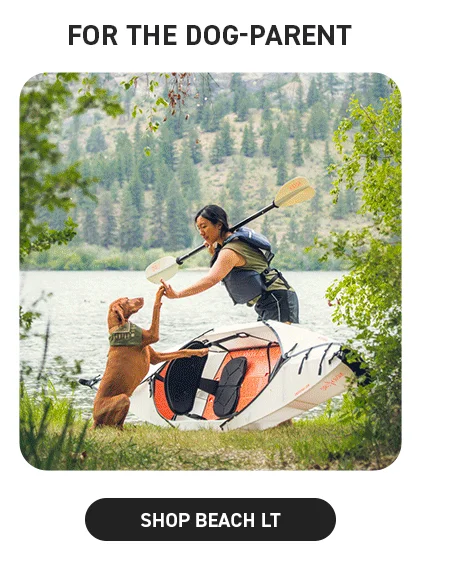 Beach LT: For the dog parent