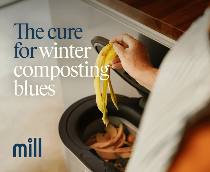 The cure for winter composting blues