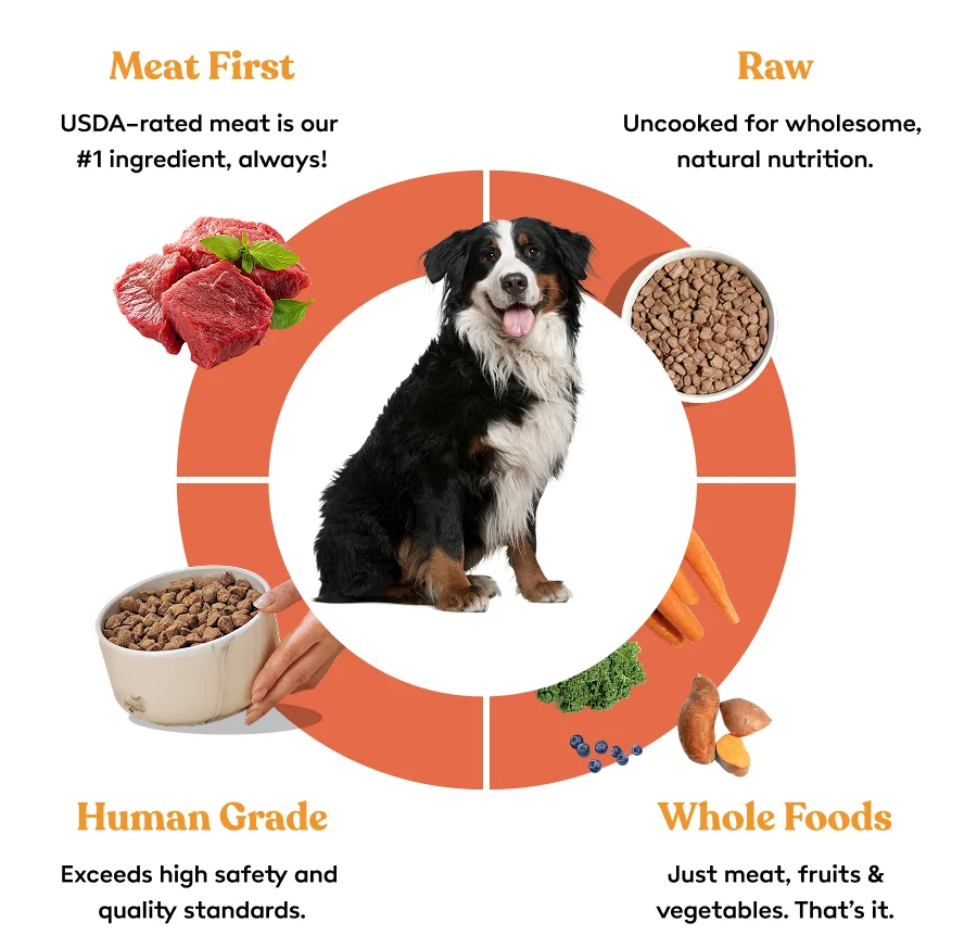 The Best Ingredients  For Your Best Friend