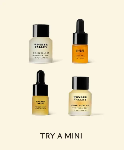 TRY A MINI