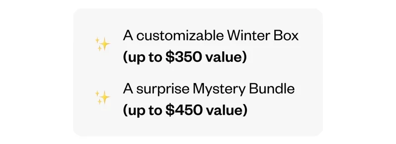 A customizable Winter Box (up to $350 value) | A surprise Mystery Bundle (up to $450 value)