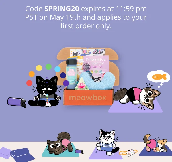Code discount code expires at 11:59 pm PST on May 19th and applies to your first order only. Image of Kitty Cats on Mats meowbox with Pawsitive Energy Chakra Chaser Toy, Biiig Stretch! Yoga Mat, Feline Flow Yoga Pillow cat toys and more.