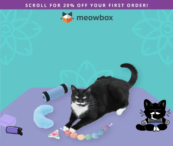 Scroll for 20% off your first order! Purrfect your poses! Image of a black cat with white spots sitting on a yoga mat with the Big Stretchh! Cat Yoga Mat, Feline Flow Calming Yoga Pillow, Chakra Chaser and Lotus Meditation cat toys next to him. In front of a yoga cat background with cat illustrations.