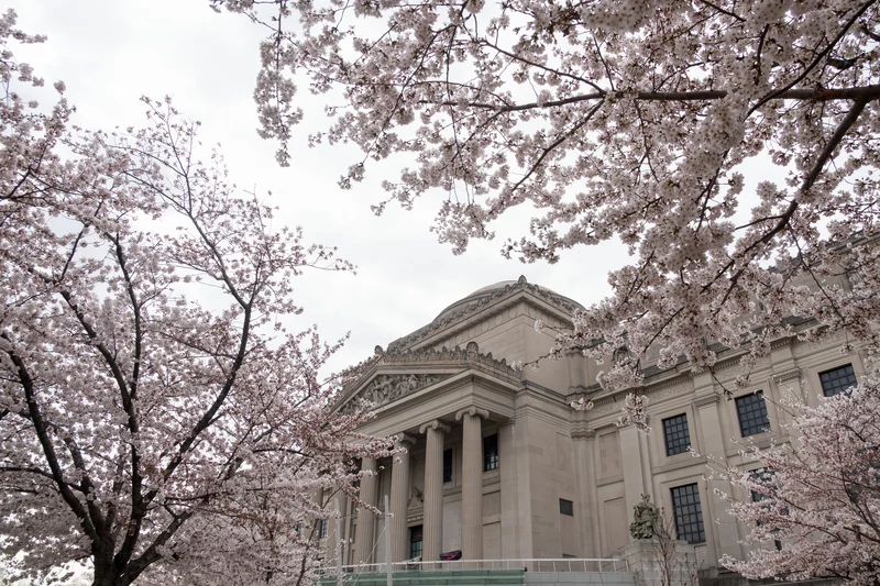 A photograph of the exterior of the Brooklyn Museum